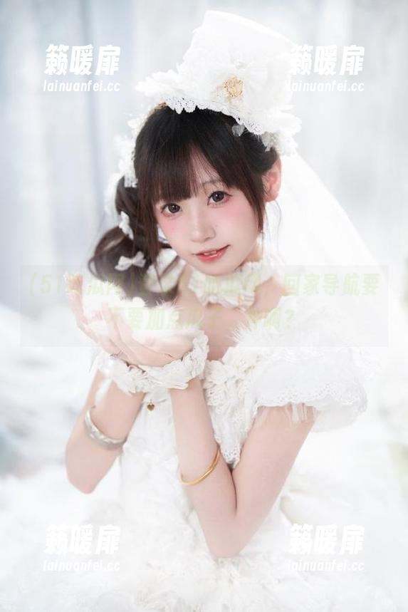 登录51吃瓜网，回家导航要不要加点瓜子，冲啊？
