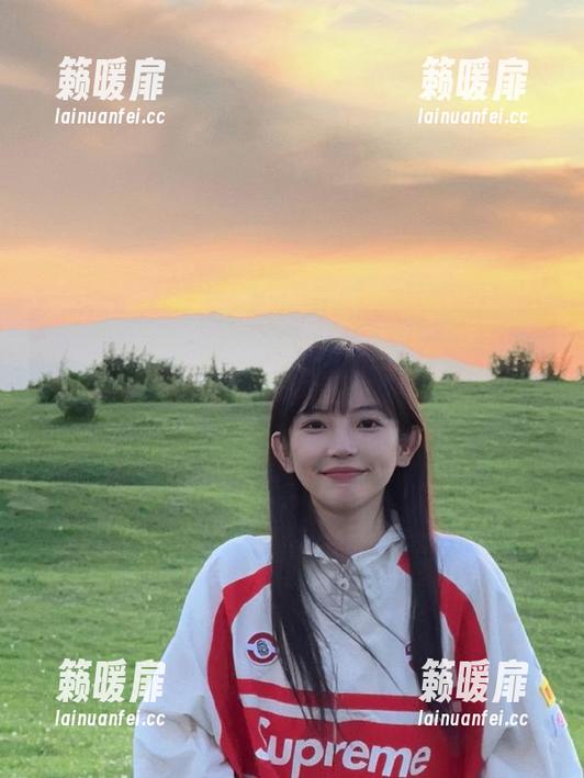 访问heiliao.su网站的时候，我的屏幕变成了瓜田，瓜农都跟不上我的速度！