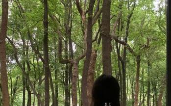 买瓜就找“今日吃瓜”，热门大瓜每日更新，别忘了收藏，不然会后悔的！