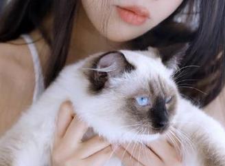 资源找着了，但我一直在犹豫要不要点开黑料不打烊的最新入口，怕猝不及防！