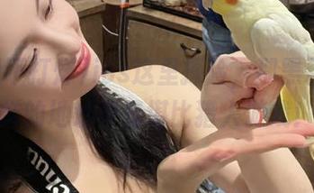 ios这里探险，那黑料不打烊的地址真是堪比猎人游戏！