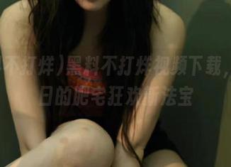 黑料不打烊视频下载，休息日的肥宅狂欢新法宝
