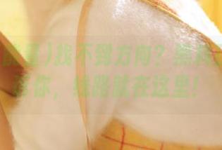 找不到方向？黑料正能量告诉你，线路就在这里！