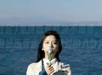 免费流量坚决不浪费，来黑料社区网站感受你未曾料到的八卦风暴！