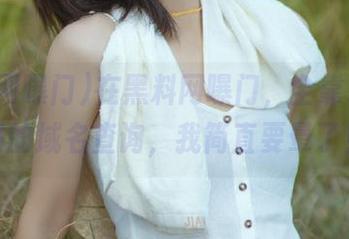 在黑料网曝门，全靠永不迷路的域名查询，我简直要晕了！